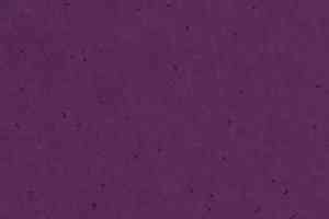 Линолеум Forbo Sphera Energetic 50232 eggplant фото  | FLOORDEALER